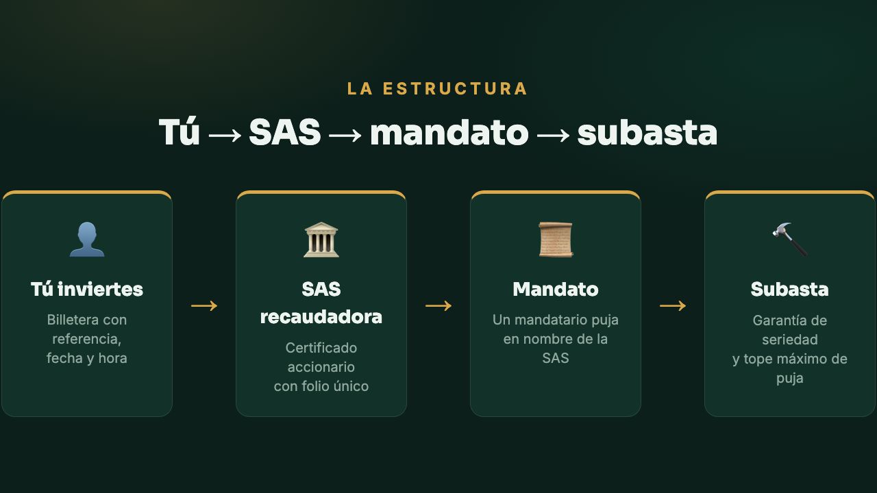El modelo legal en 34 segundos: SAS, mandato y tus dos escenarios